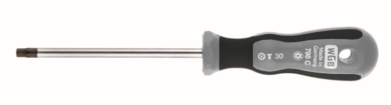 WKRĘTAK TORX Z OTWOREM TX15X80 /WGB/