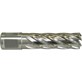 Wiertło koronowe HSS 12x55mm WELDON 19