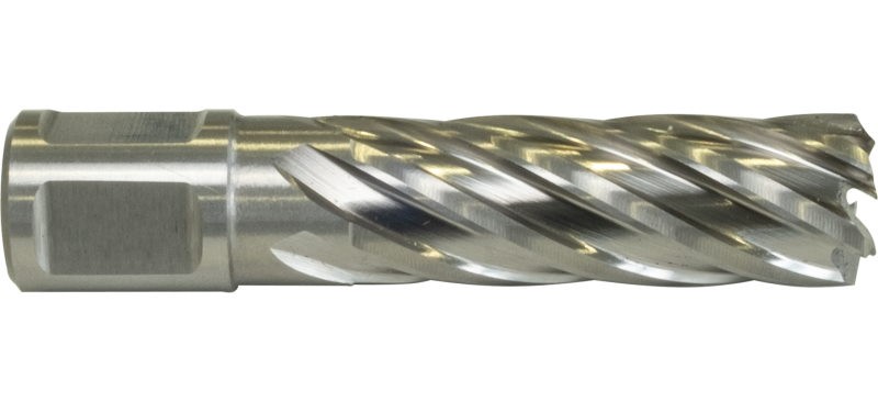Wiertło koronowe HSS 12x55mm WELDON 19
